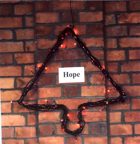 Fir tree - Symbol of hope